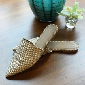 🎉 Minimalist Tan Mules! 🎉